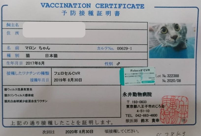 マロンの予防接種証明書