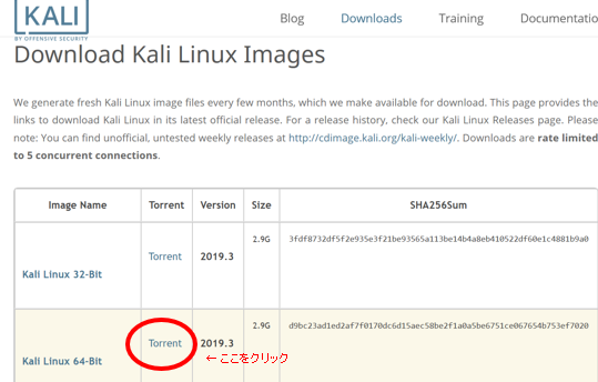 Kail Linuxサイトの写真